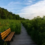 Dixon-Illinois-Relocation-Guide